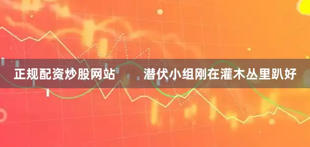 正规配资炒股网站        潜伏小组刚在灌木丛里趴好
