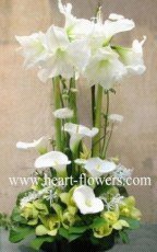 心花怒放 專業花卉服務，傳遞美好情感